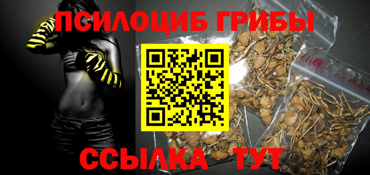 Галлюциногенные грибы MAGIC MUSHROOMS Красноярск
