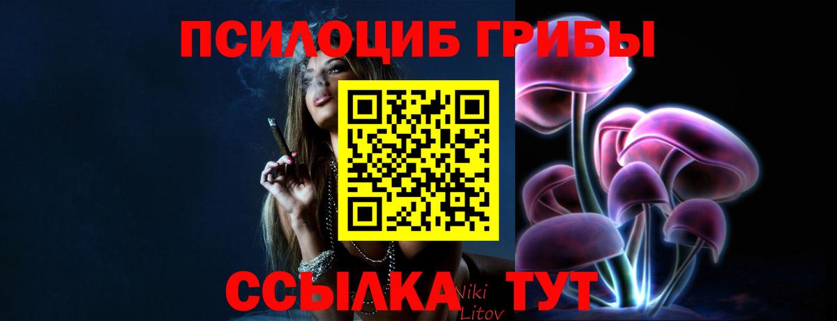 Красноярск  магазин    Вход с VPN  Галлюциногенные грибы GOLDEN TEACHER 