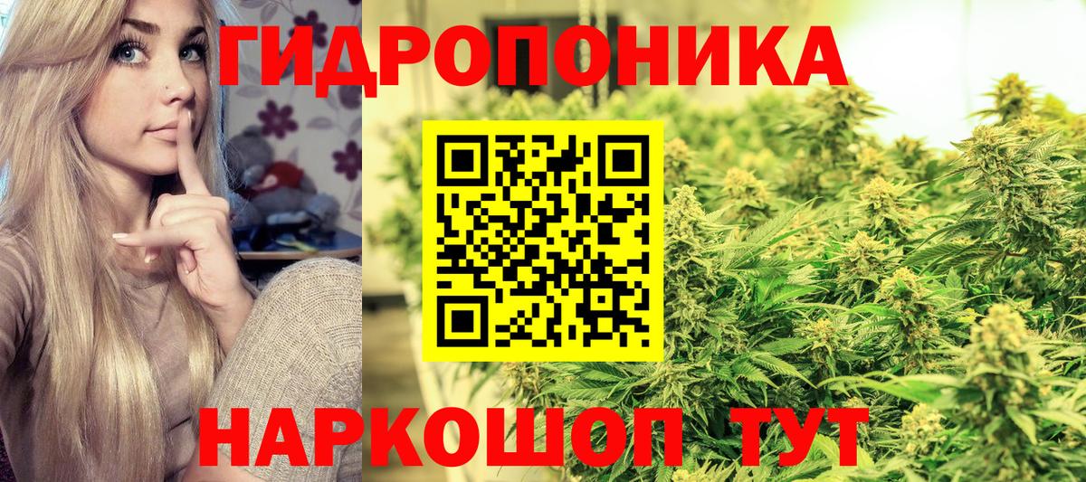 Бошки Шишки OG Kush Красноярск